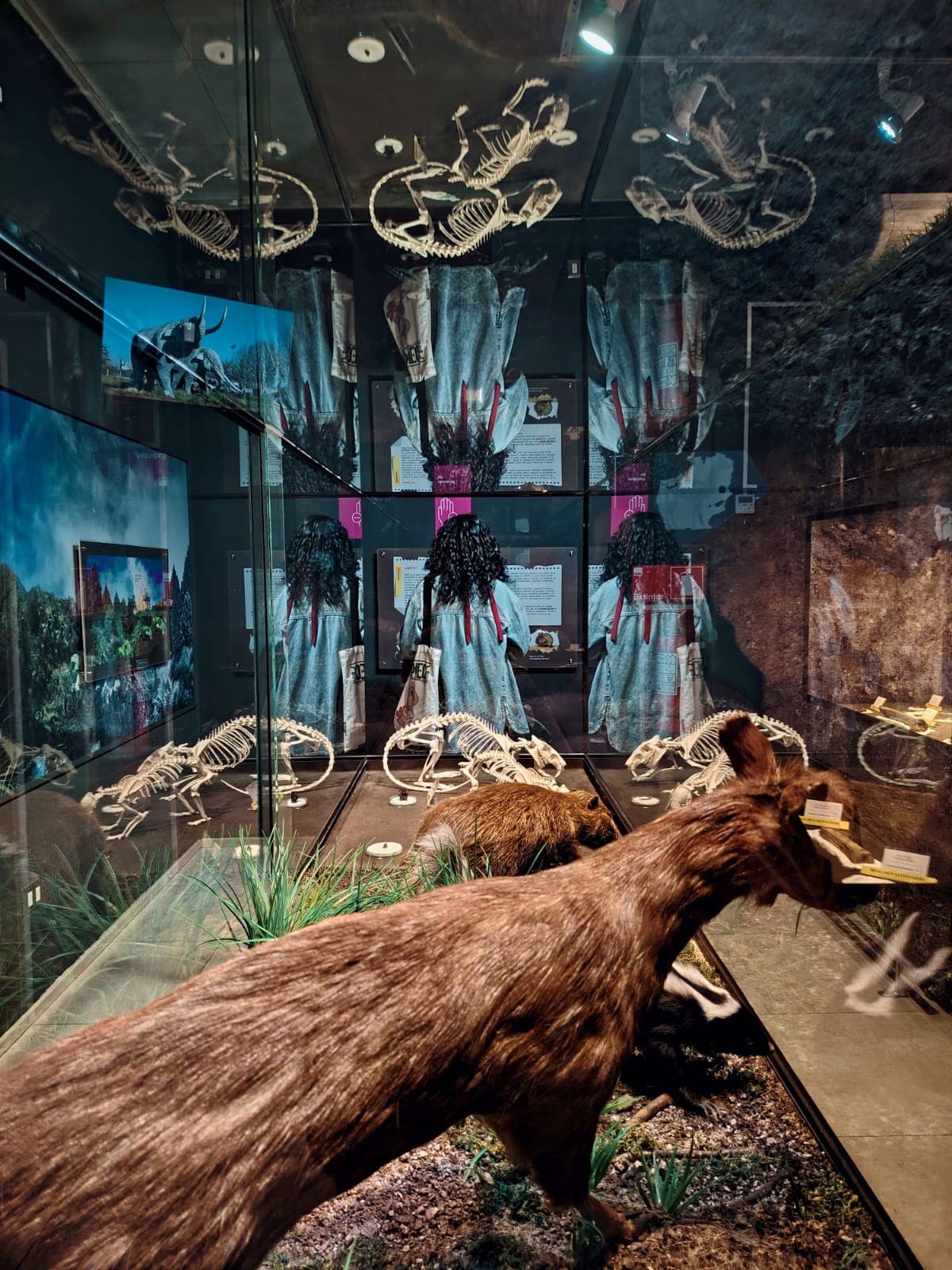 Rutas culturales y patrimoniales de Osorno: perspectivas de una ciudad, sus historias y su habitar